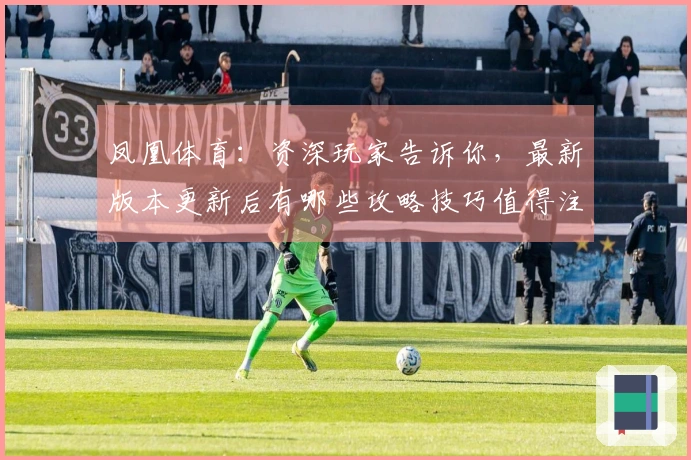 凤凰体育：资深玩家告诉你，最新版本更新后有哪些攻略技巧值得注意！