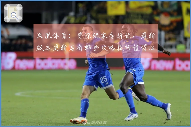 凤凰体育：资深玩家告诉你，最新版本更新后有哪些攻略技巧值得注意！