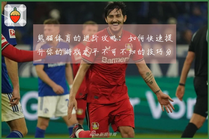 熊猫体育的进阶攻略：如何快速提升你的游戏水平不可不知的技巧分享