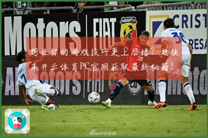 想让你的游戏技巧更上层楼？赶快来开云体育PC官网获取最新秘籍！